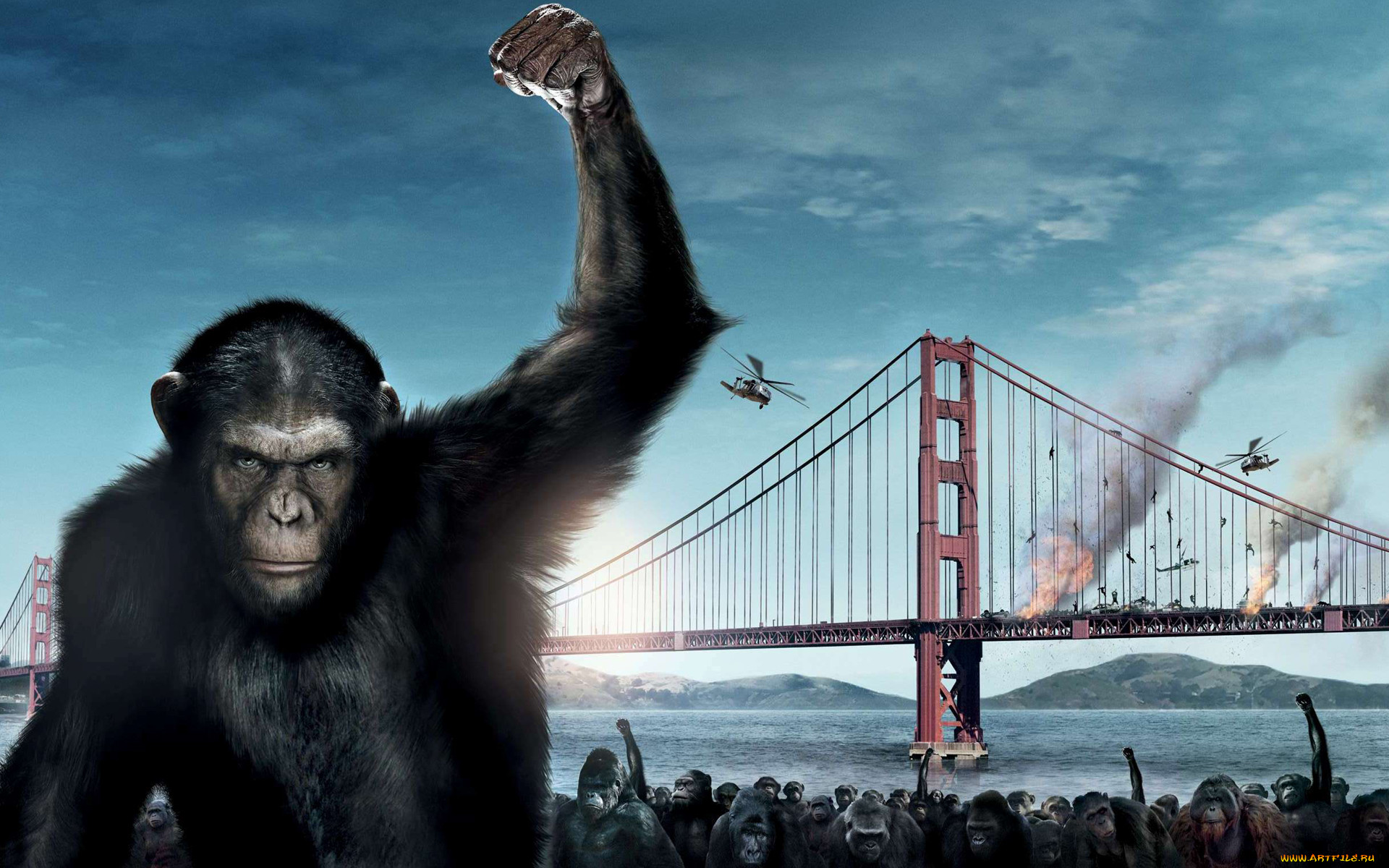 Обои Восстание планеты обезьян Кино Фильмы Rise of the Planet of the Apes,  обои для рабочего стола, фотографии восстание, планеты, обезьян, кино,  фильмы, rise, of, the, planet, apes, мост, обезьяны Обои для